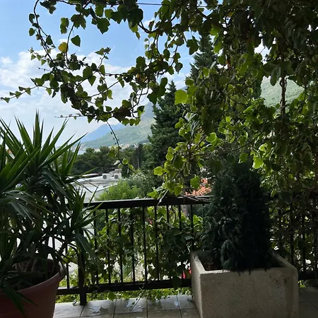 Apartmani Gradac Gradac (Split-Dalmatia)